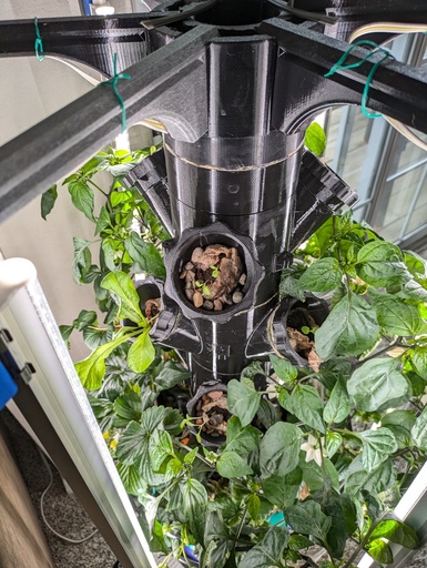 Auto Garden